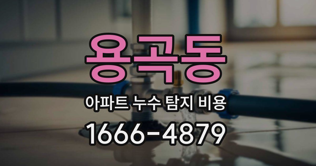 용곡동 아파트 누수 탐지 비용