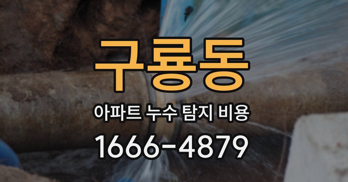 구룡동 아파트 누수 탐지 비용