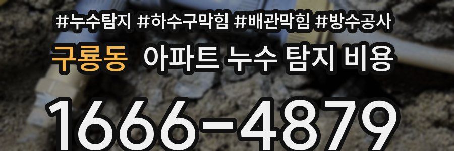구룡동 아파트 누수 탐지 비용