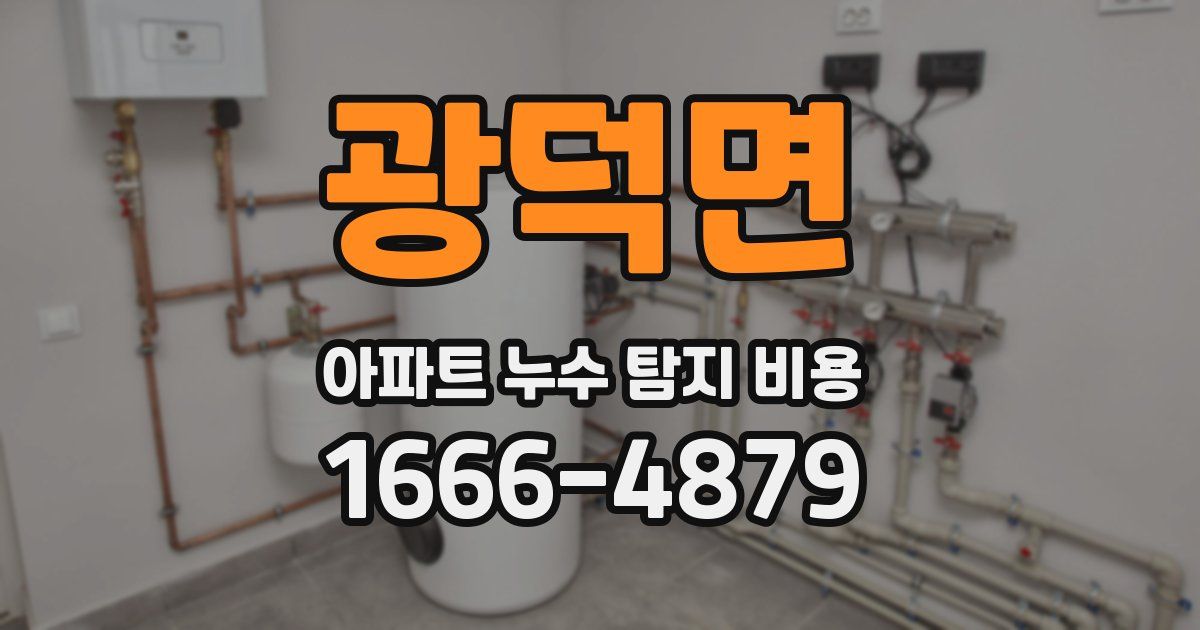 광덕면 아파트 누수 탐지 비용