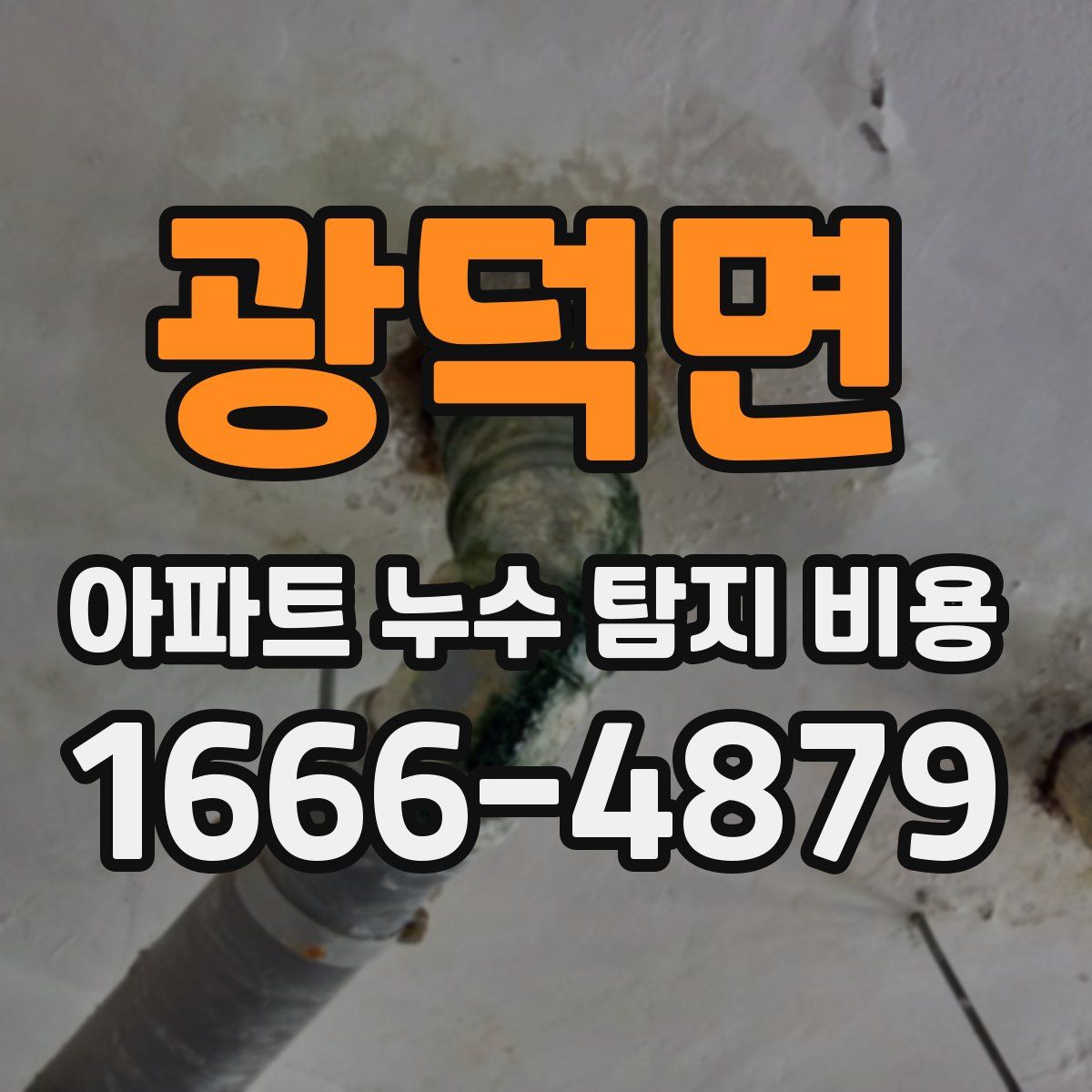 광덕면 아파트 누수 탐지 비용