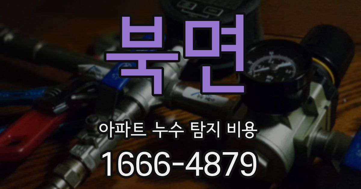 북면 아파트 누수 탐지 비용