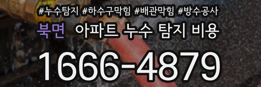 북면 아파트 누수 탐지 비용