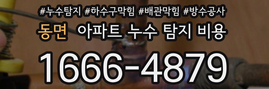 동면 아파트 누수 탐지 비용