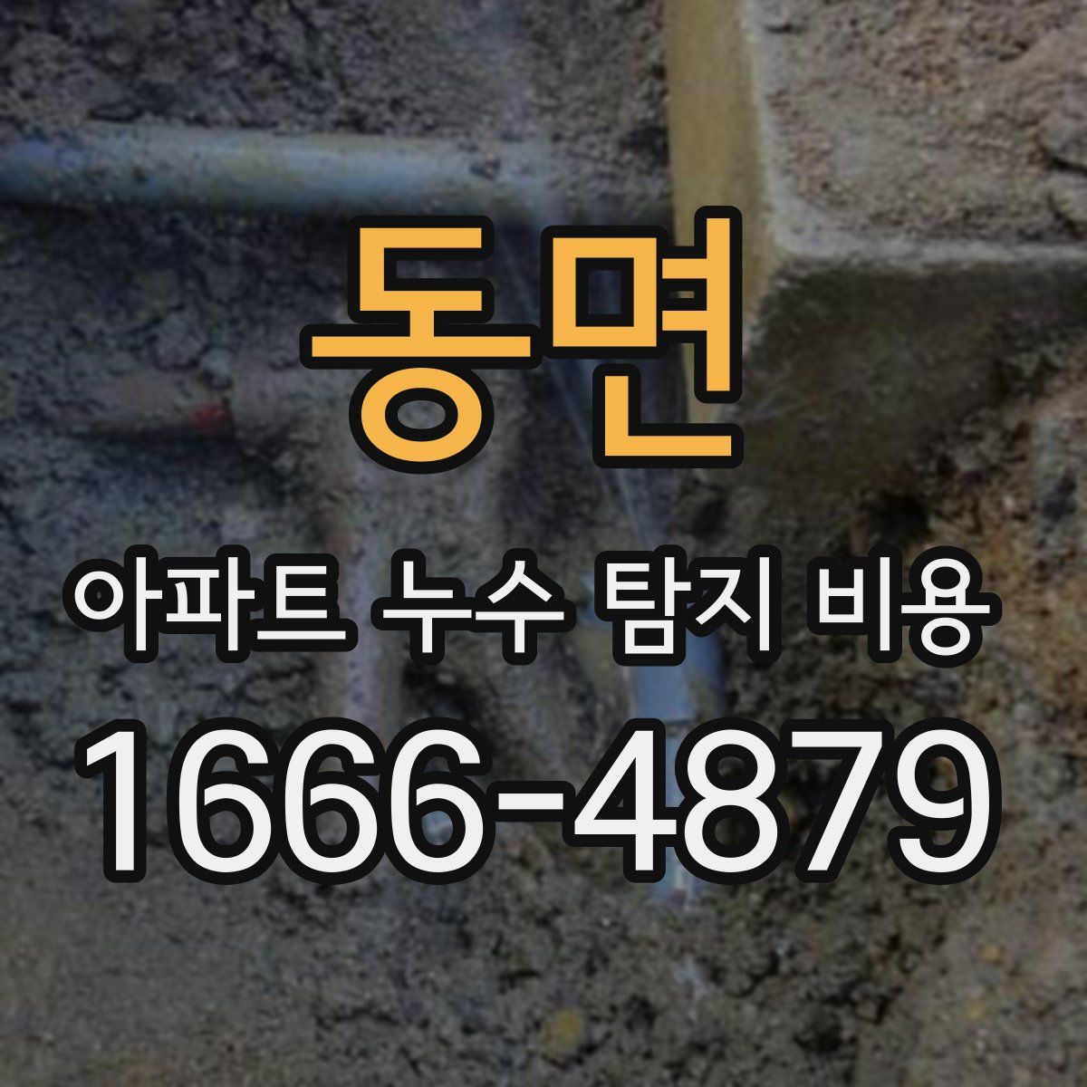 동면 아파트 누수 탐지 비용