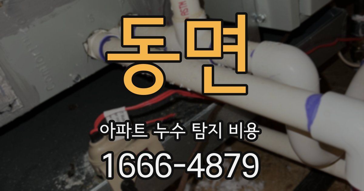 동면 아파트 누수 탐지 비용