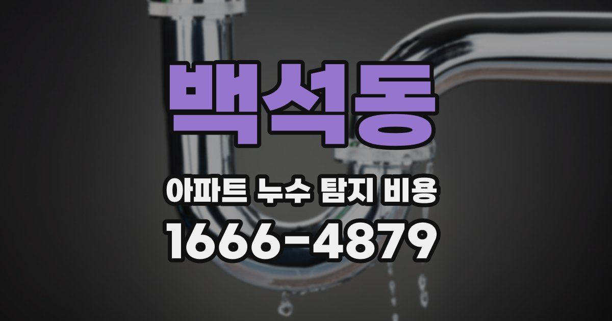 백석동 아파트 누수 탐지 비용