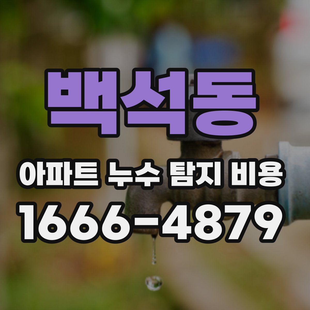 백석동 아파트 누수 탐지 비용