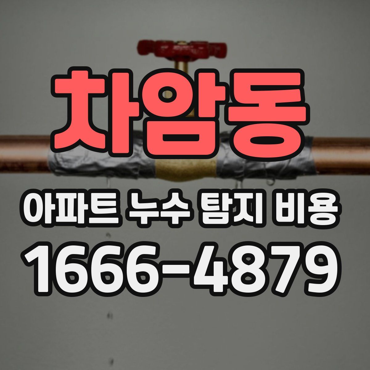차암동 아파트 누수 탐지 비용