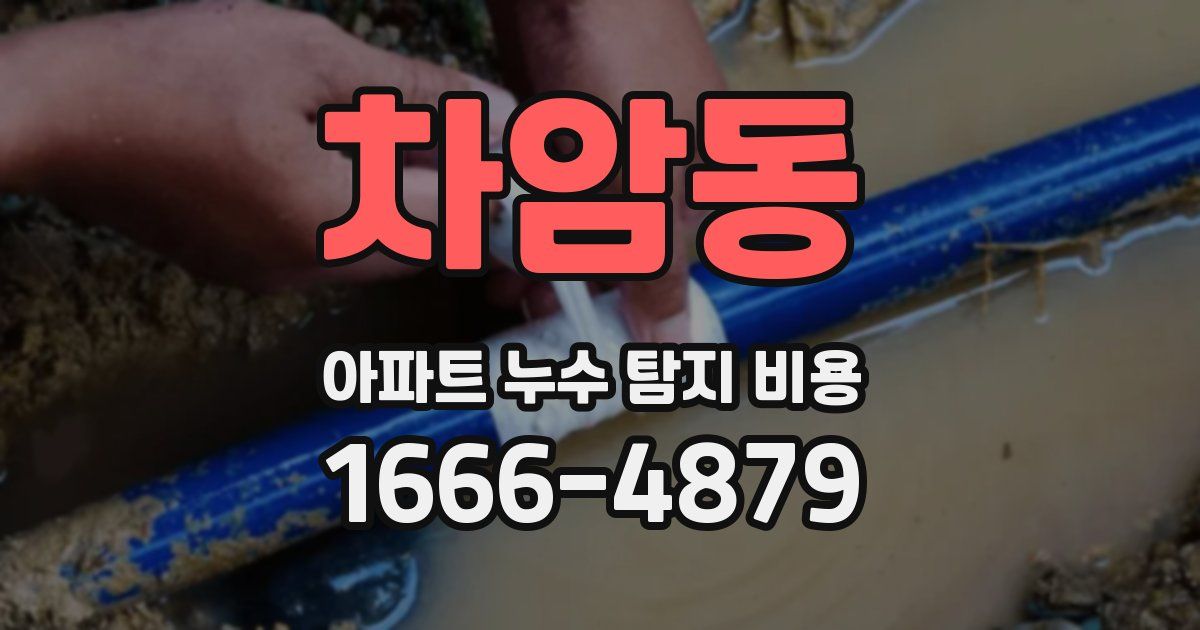차암동 아파트 누수 탐지 비용
