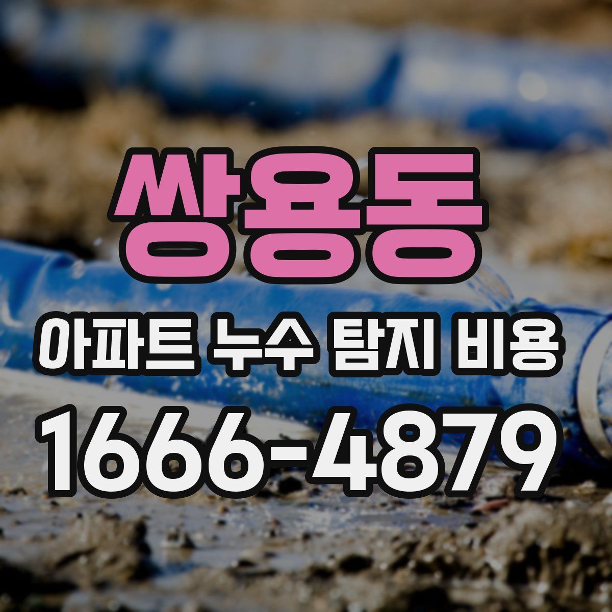 쌍용동 아파트 누수 탐지 비용
