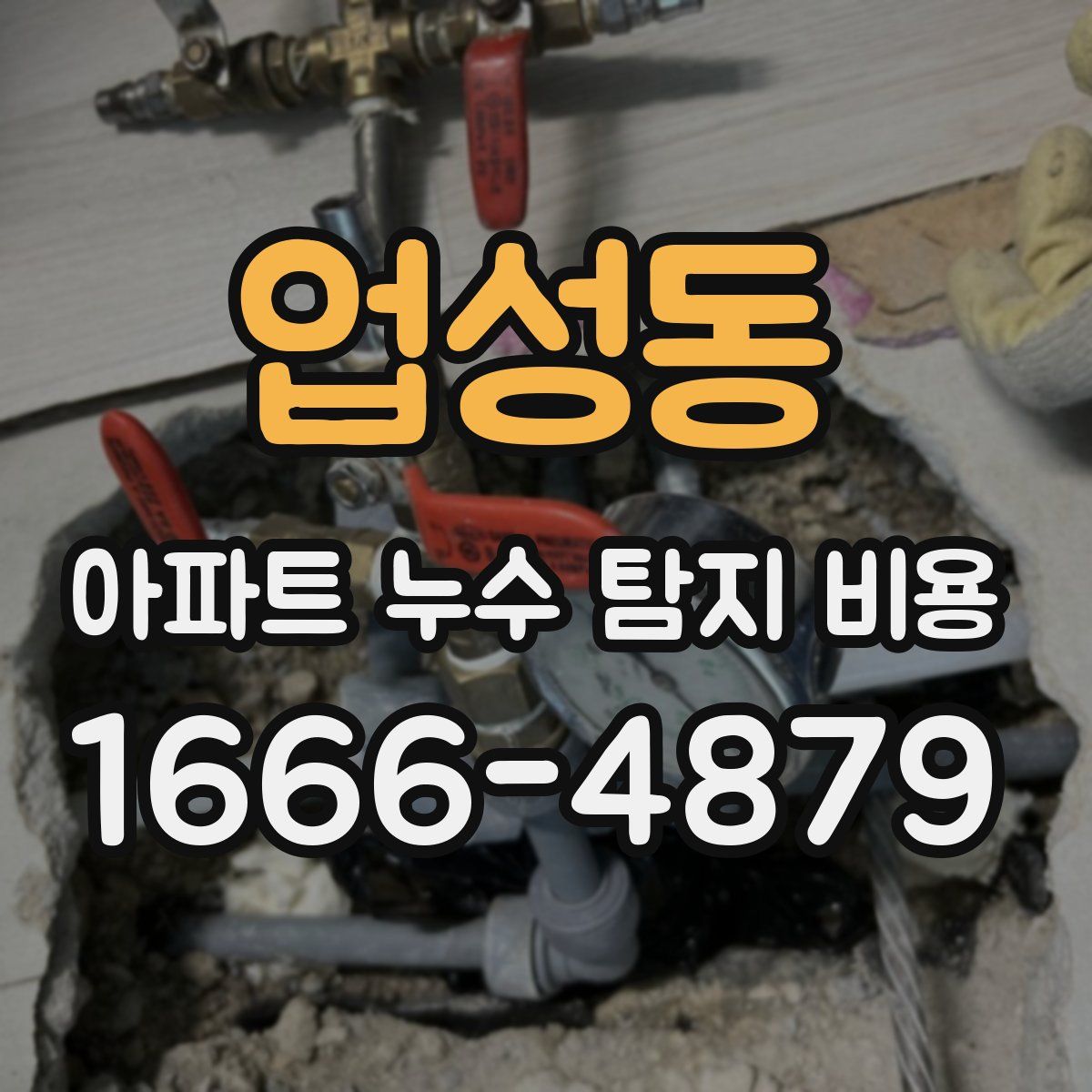 업성동 아파트 누수 탐지 비용