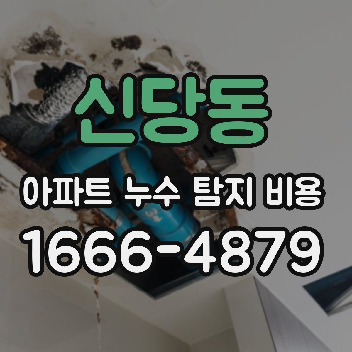 신당동 아파트 누수 탐지 비용