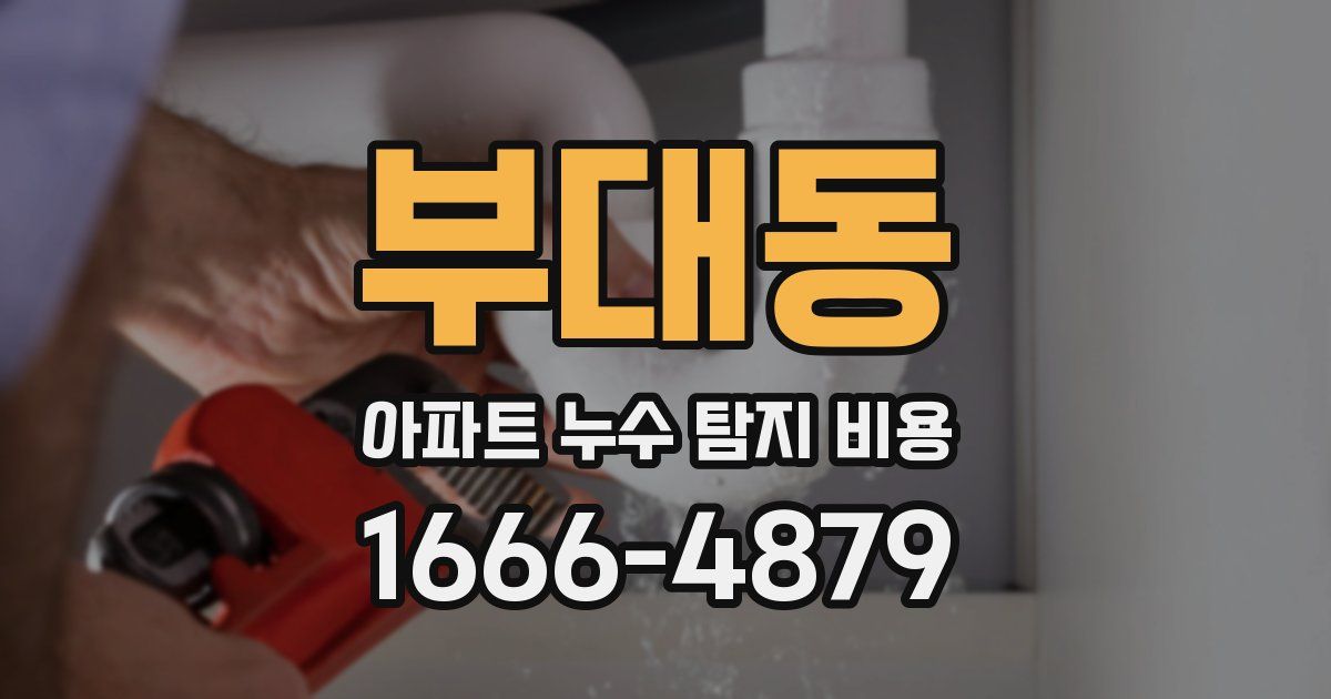 부대동 아파트 누수 탐지 비용