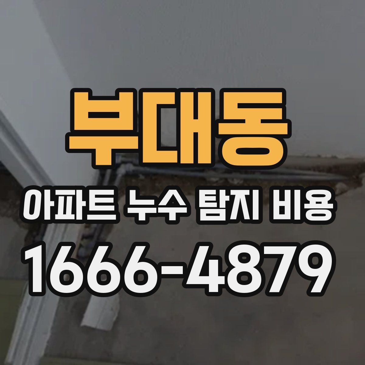 부대동 아파트 누수 탐지 비용