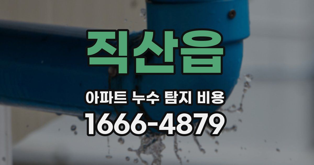 직산읍 아파트 누수 탐지 비용