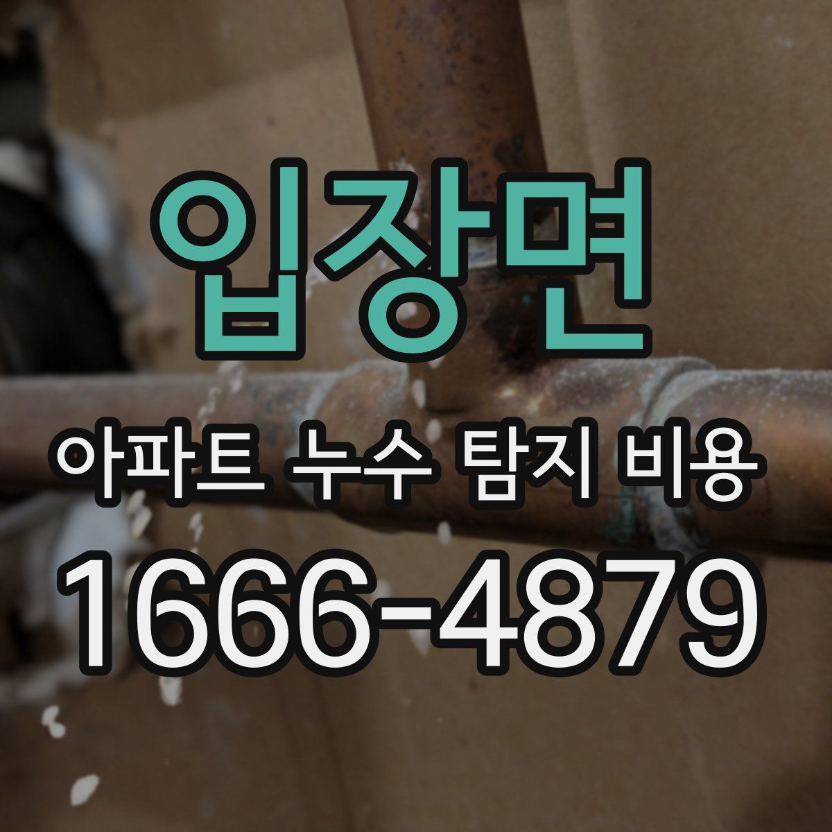 입장면 아파트 누수 탐지 비용