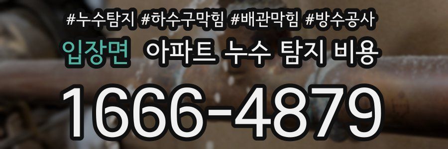 입장면 아파트 누수 탐지 비용