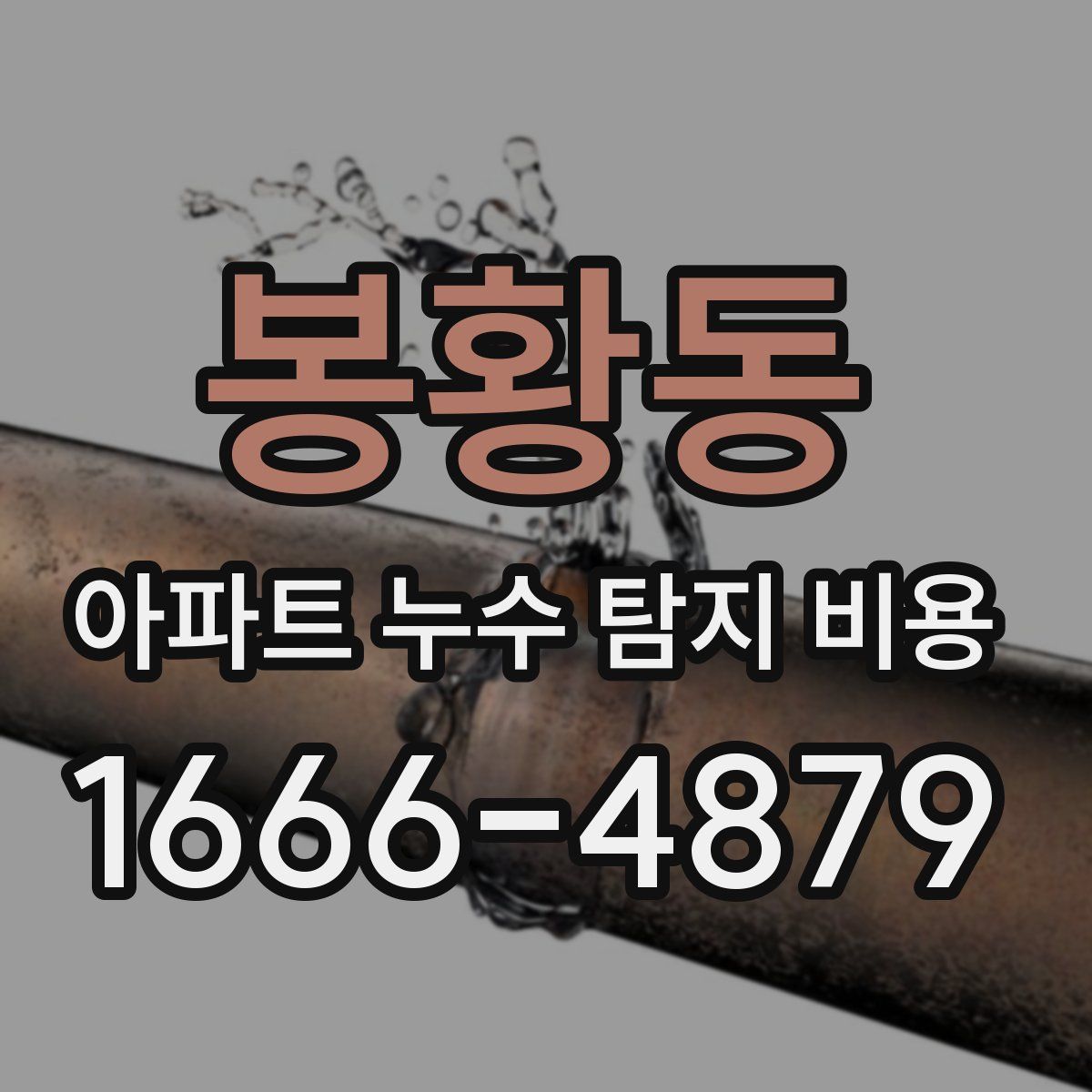 봉황동 아파트 누수 탐지 비용