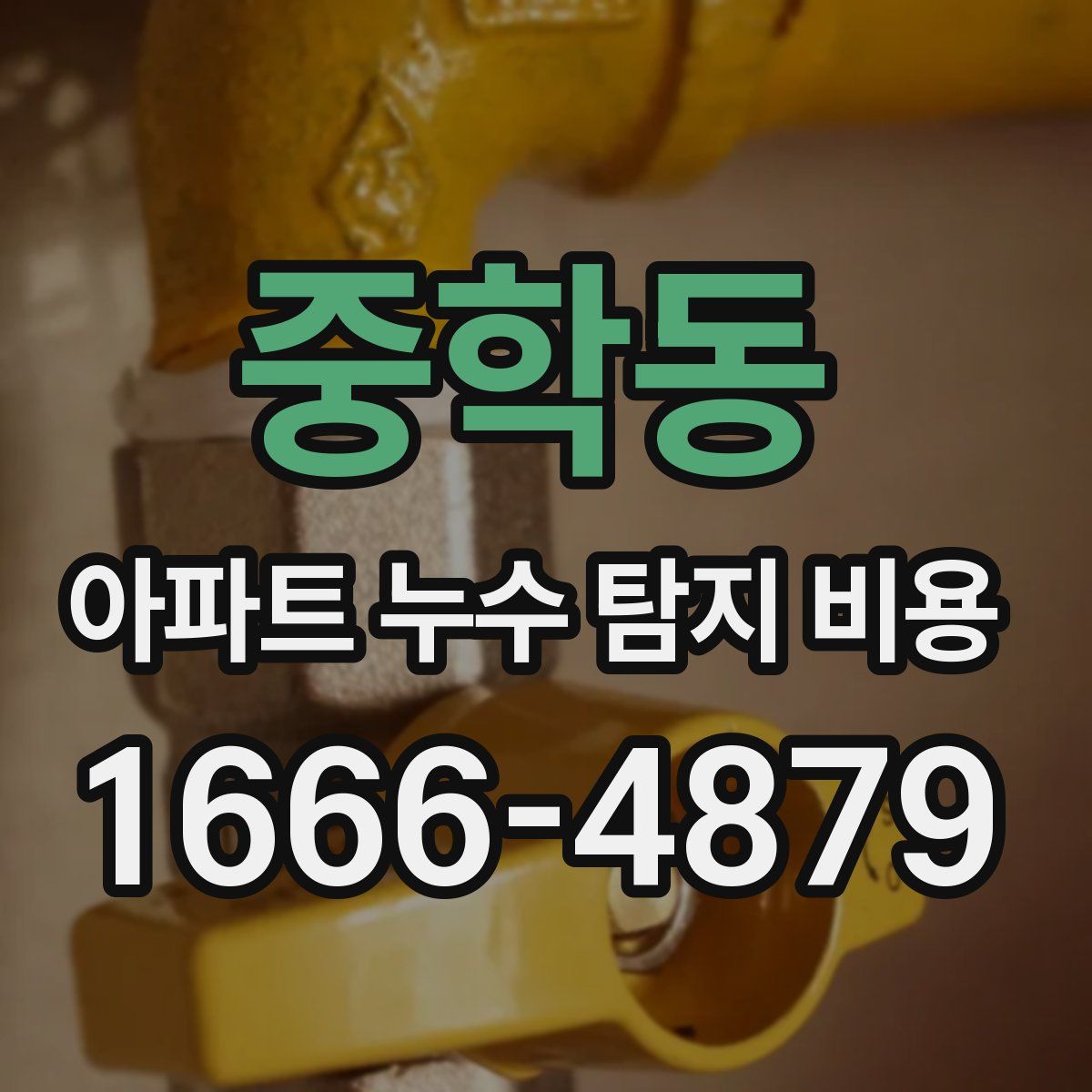 중학동 아파트 누수 탐지 비용