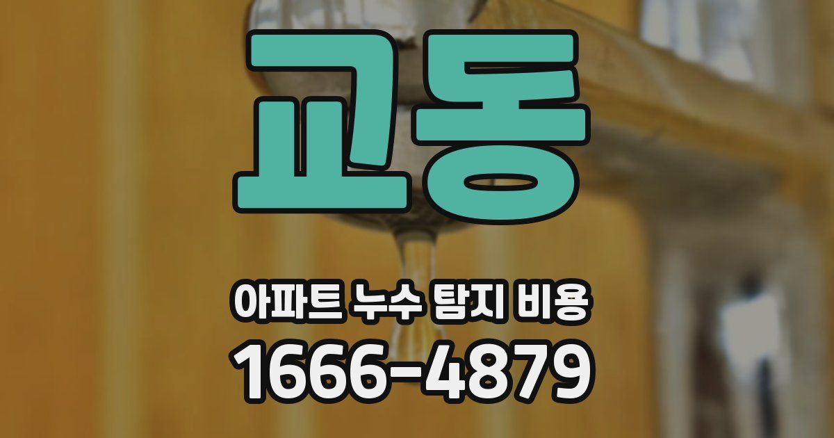 교동 아파트 누수 탐지 비용