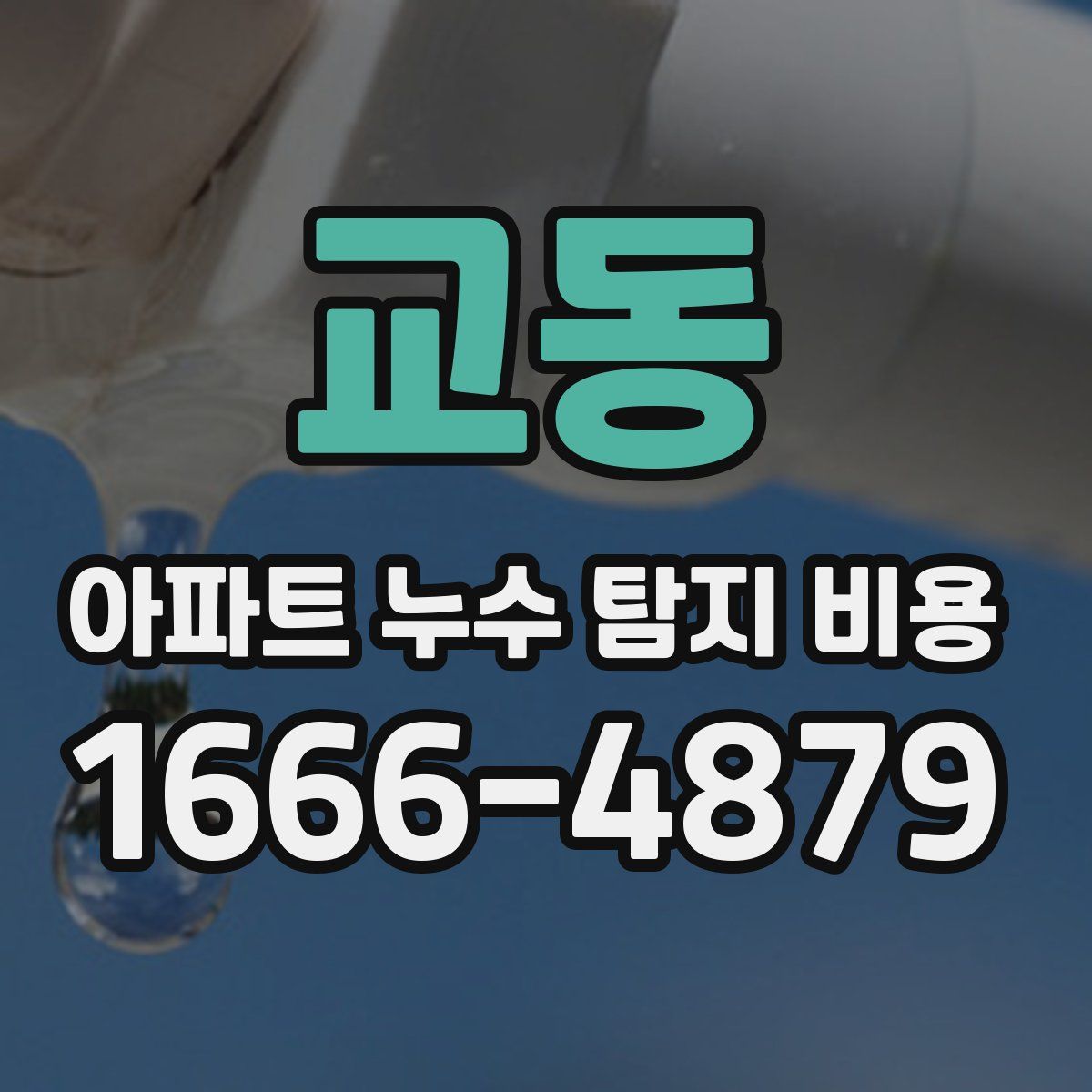 교동 아파트 누수 탐지 비용