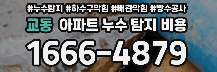 교동 아파트 누수 탐지 비용
