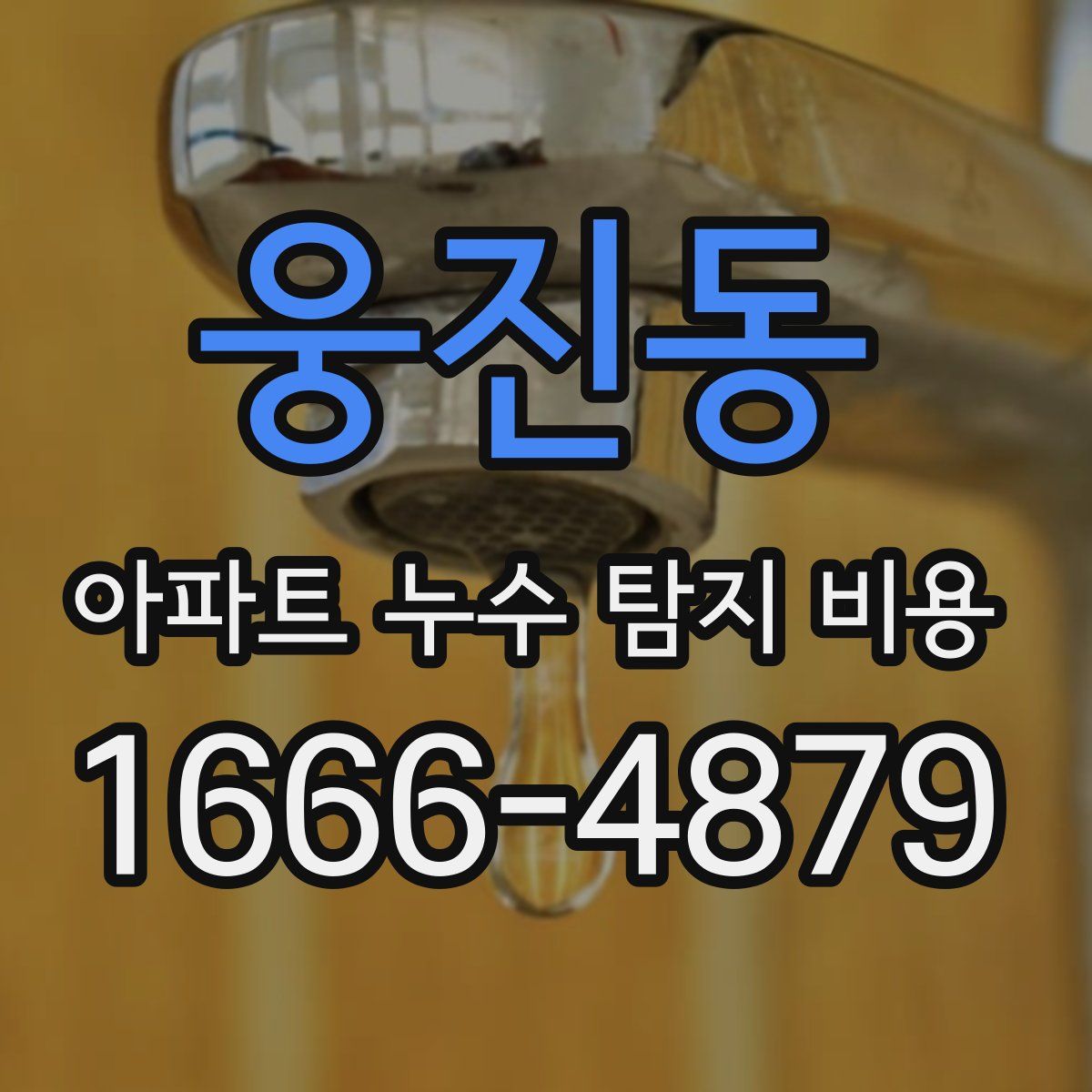 웅진동 아파트 누수 탐지 비용