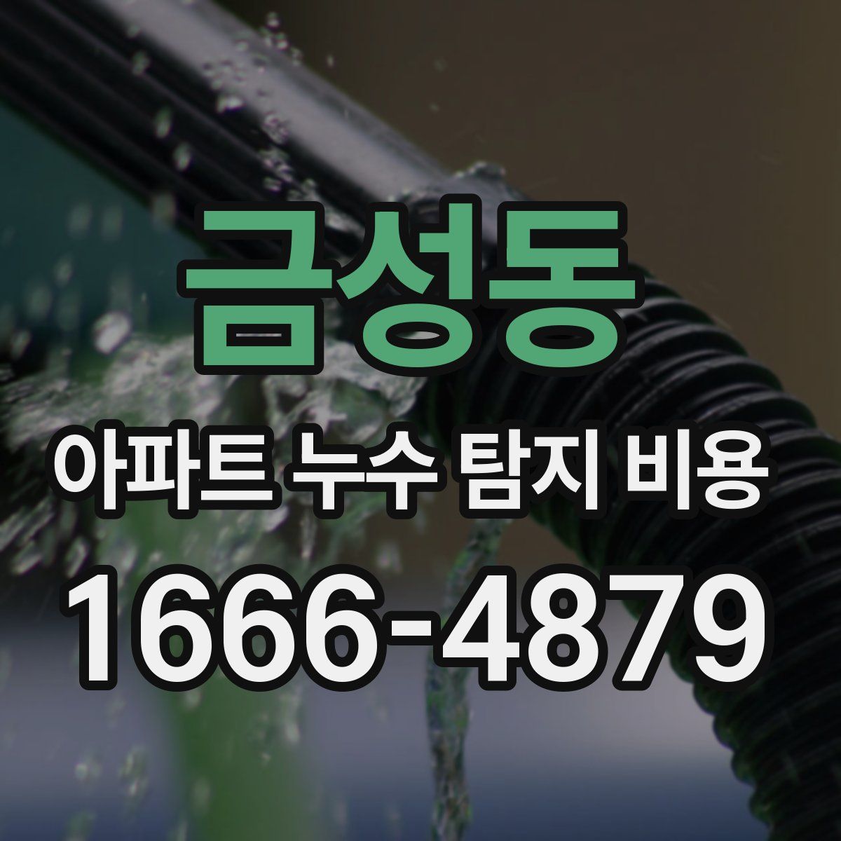금성동 아파트 누수 탐지 비용