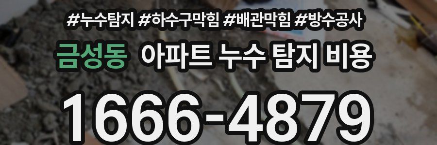 금성동 아파트 누수 탐지 비용