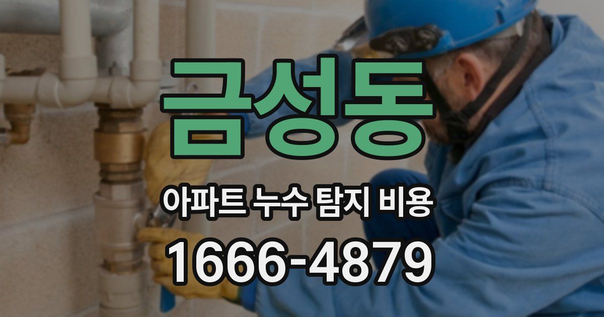 금성동 아파트 누수 탐지 비용