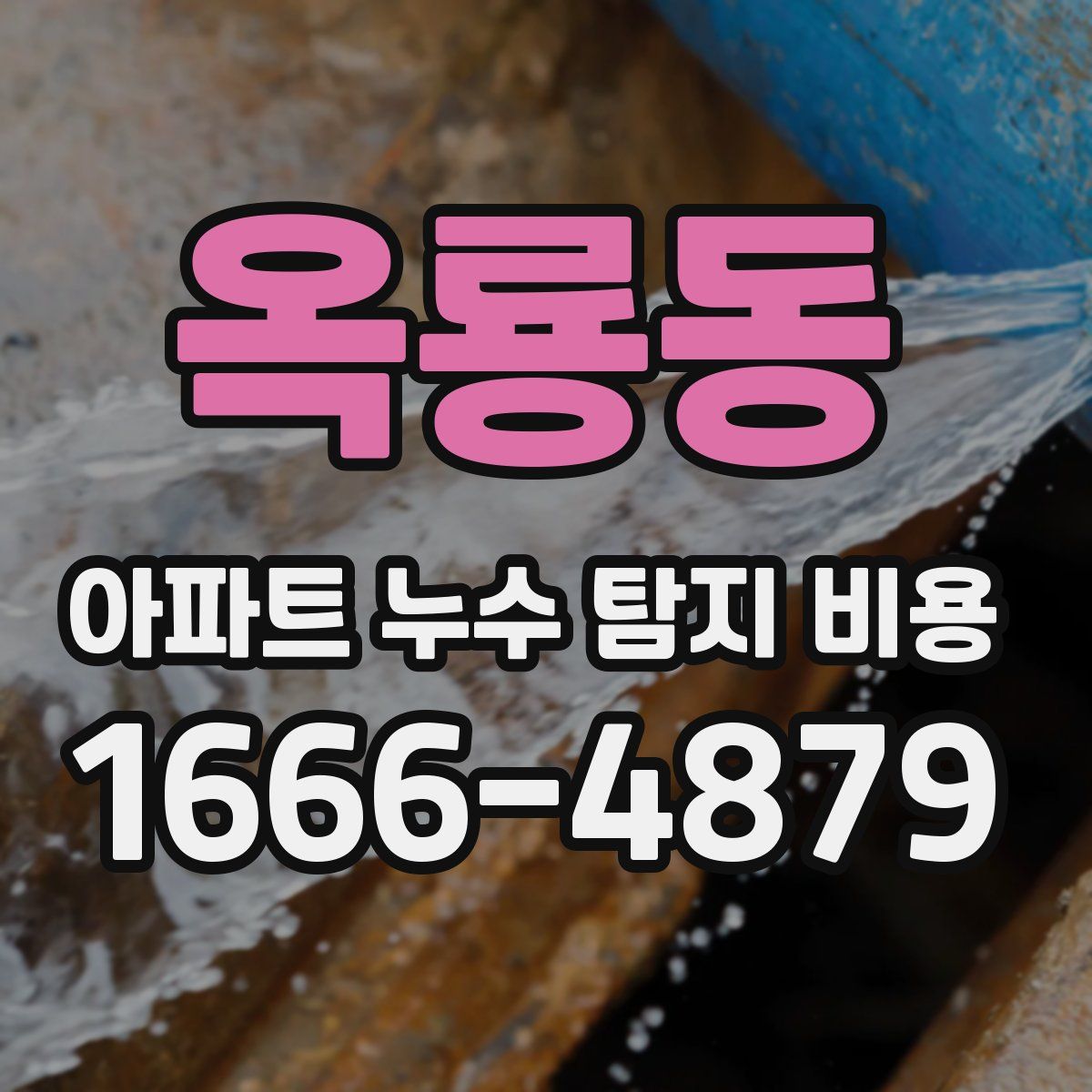 옥룡동 아파트 누수 탐지 비용