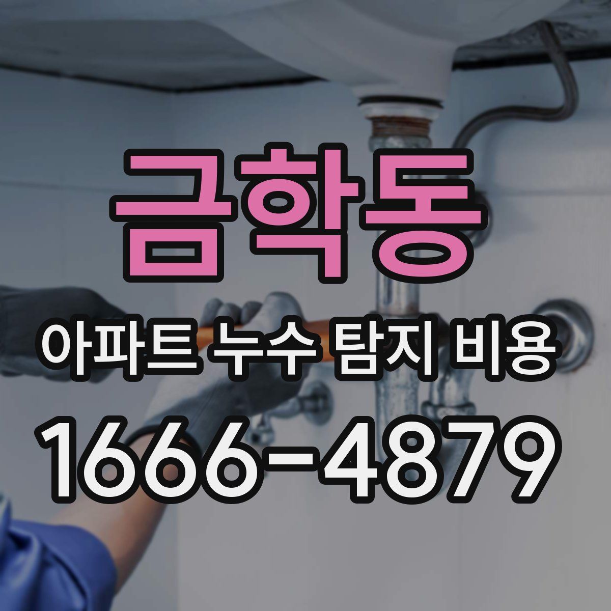 금학동 아파트 누수 탐지 비용
