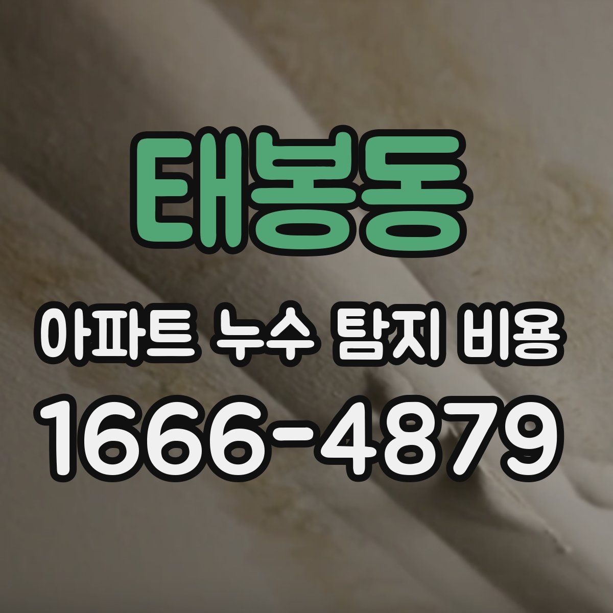 태봉동 아파트 누수 탐지 비용