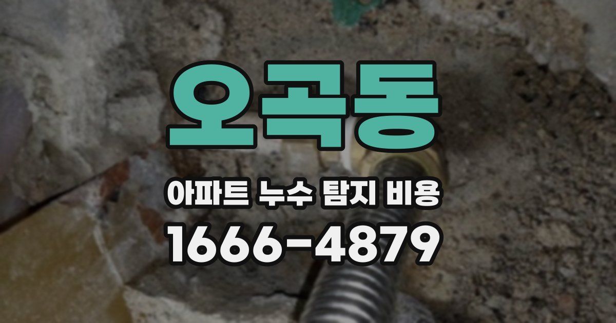 오곡동 아파트 누수 탐지 비용