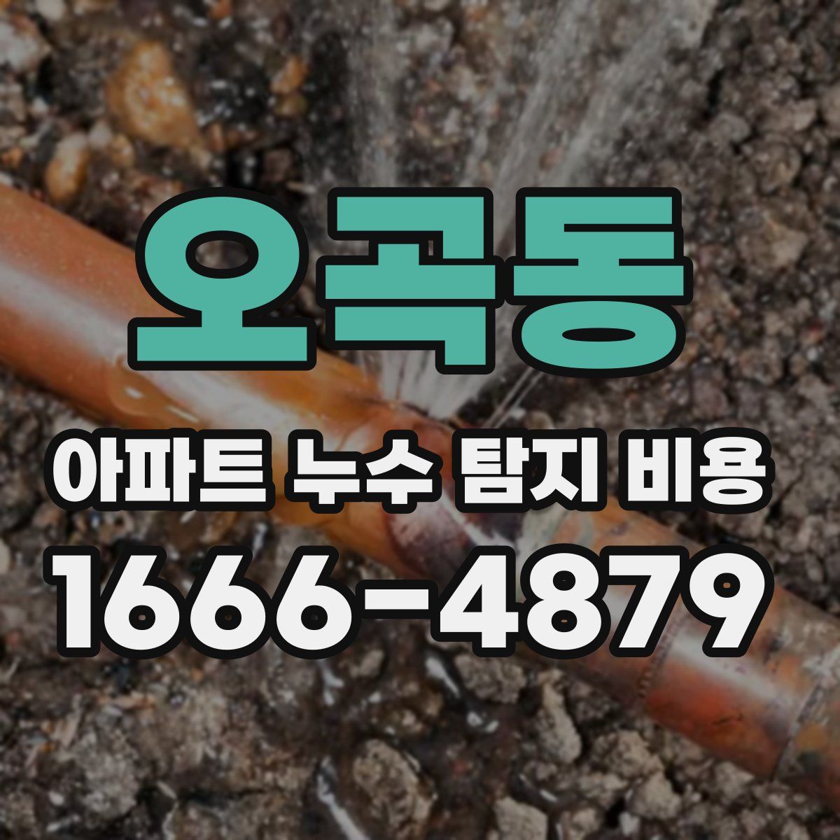 오곡동 아파트 누수 탐지 비용
