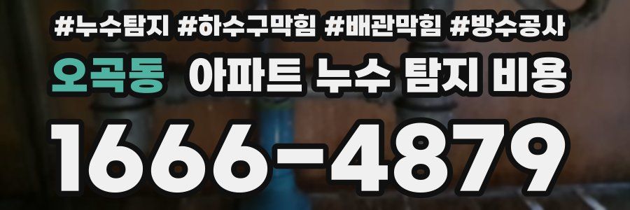 오곡동 아파트 누수 탐지 비용