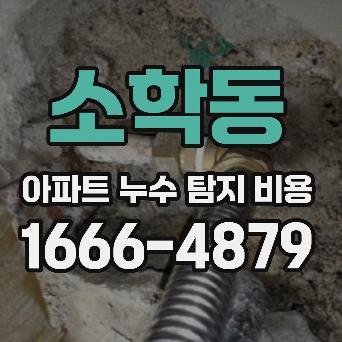 소학동 아파트 누수 탐지 비용
