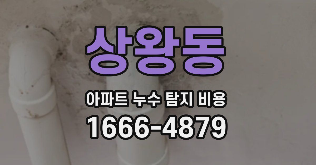 상왕동 아파트 누수 탐지 비용
