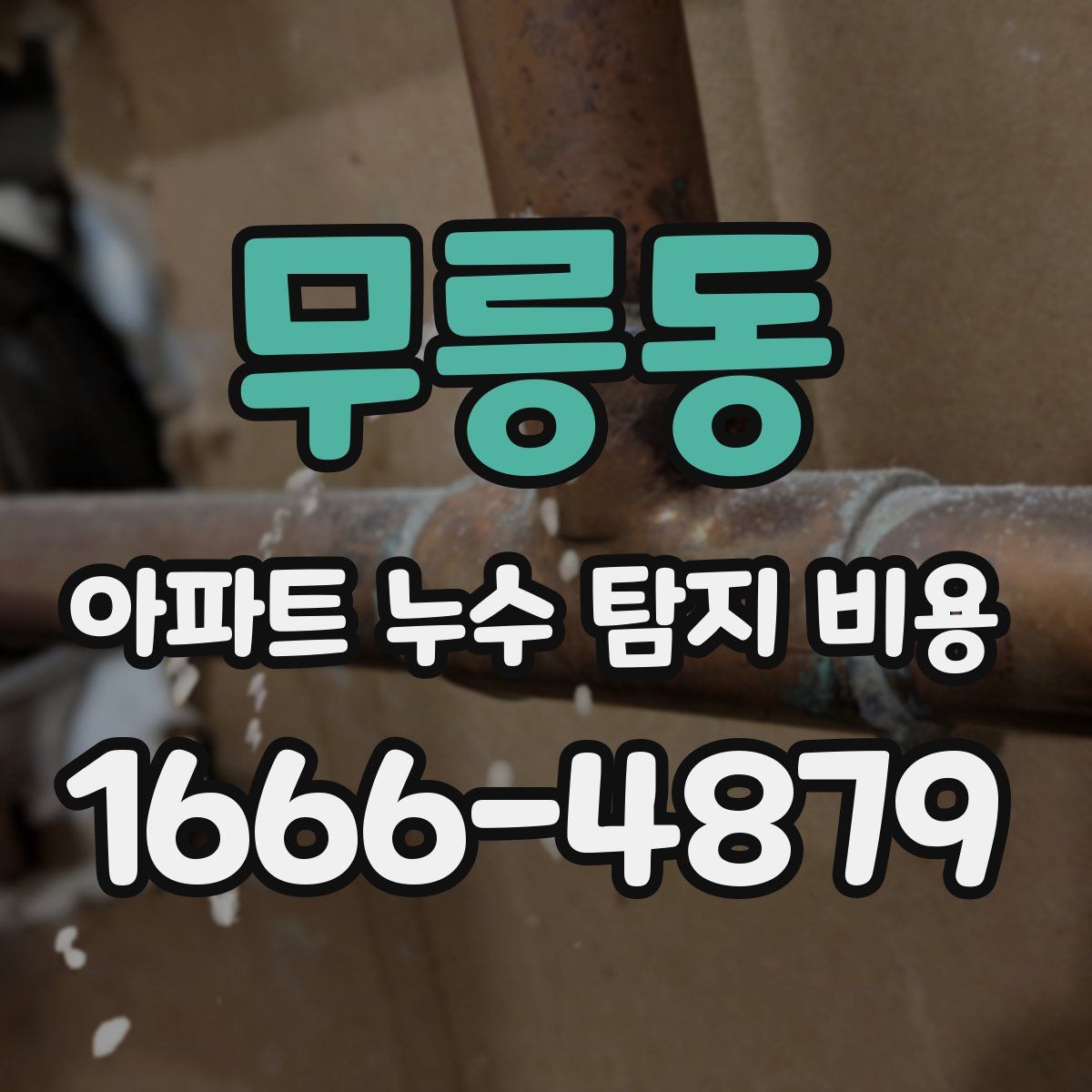 무릉동 아파트 누수 탐지 비용