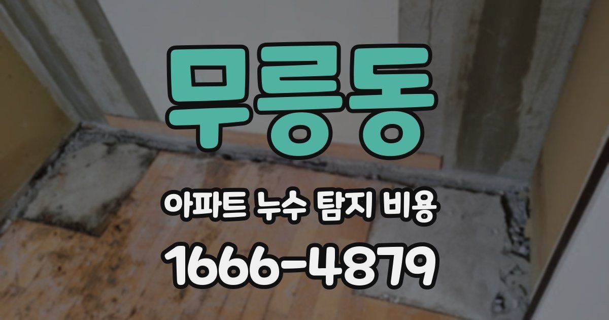 무릉동 아파트 누수 탐지 비용