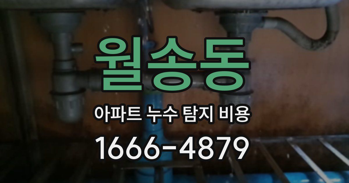 월송동 아파트 누수 탐지 비용