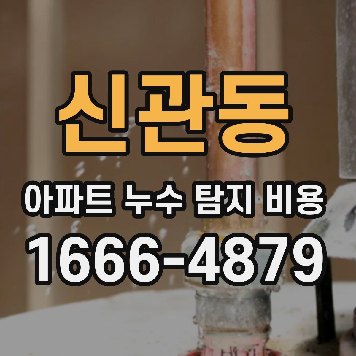 신관동 아파트 누수 탐지 비용