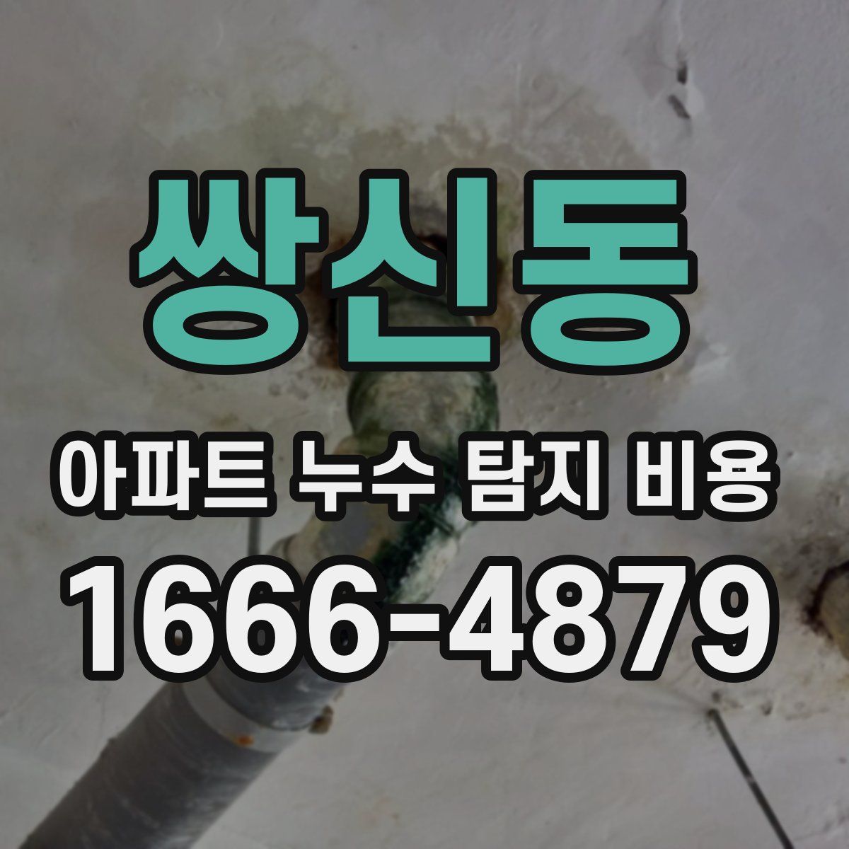 쌍신동 아파트 누수 탐지 비용