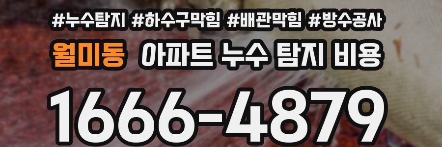 월미동 아파트 누수 탐지 비용