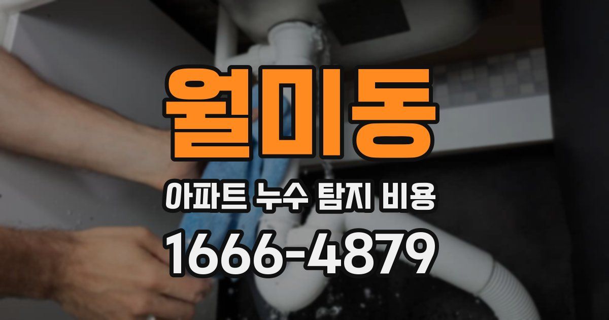 월미동 아파트 누수 탐지 비용