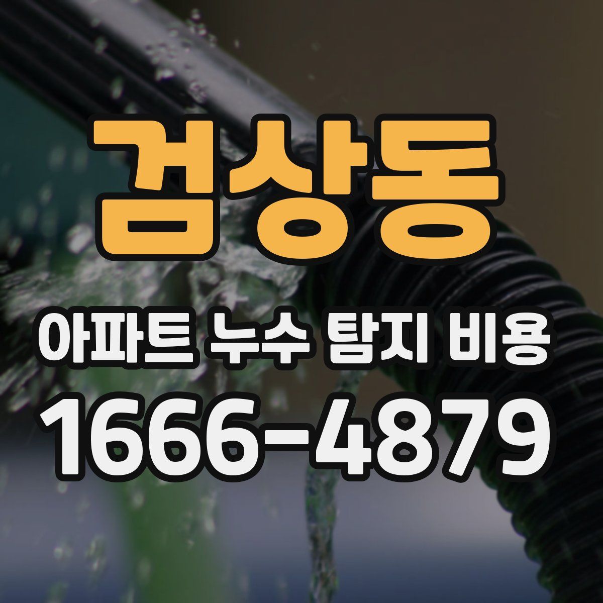 검상동 아파트 누수 탐지 비용