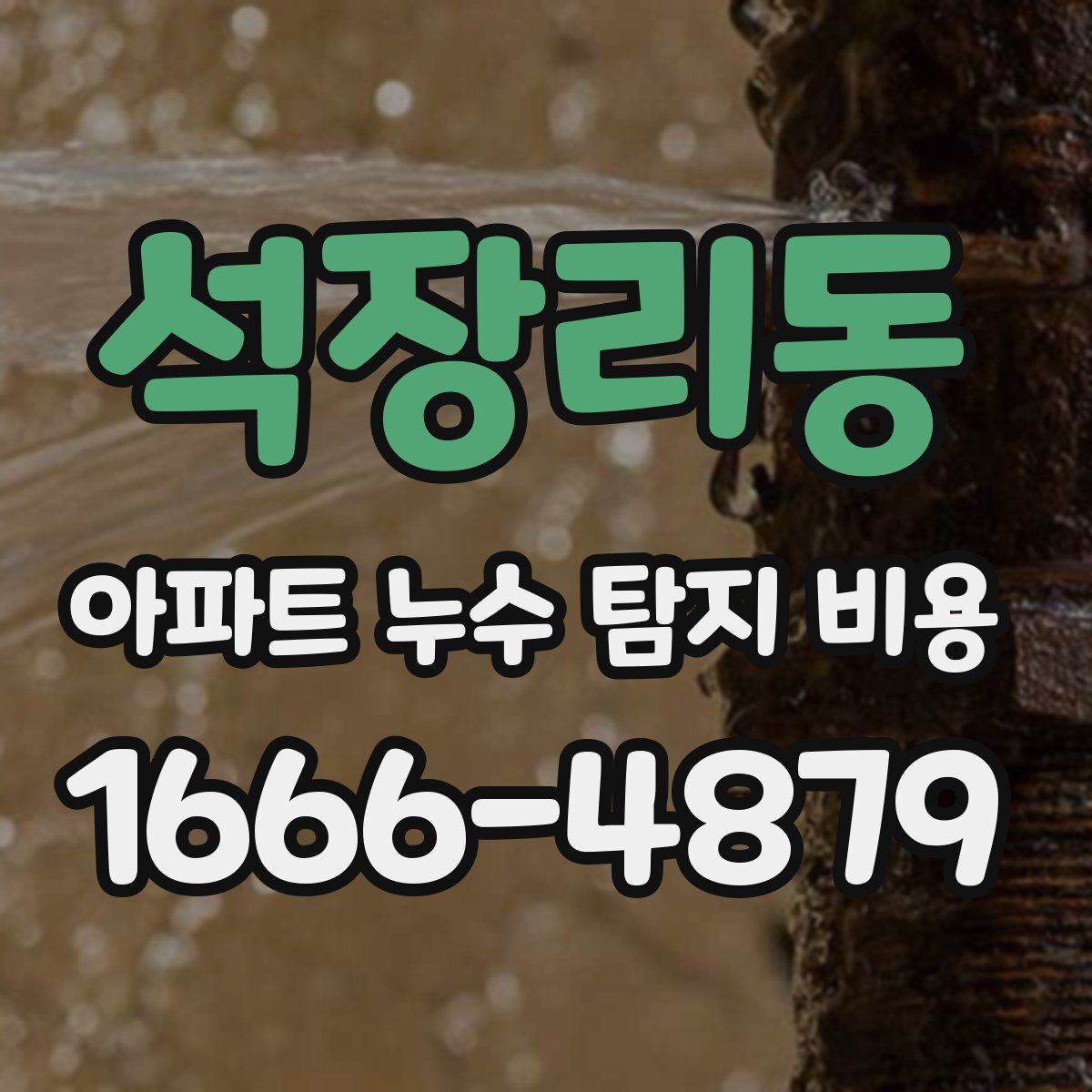 석장리동 아파트 누수 탐지 비용