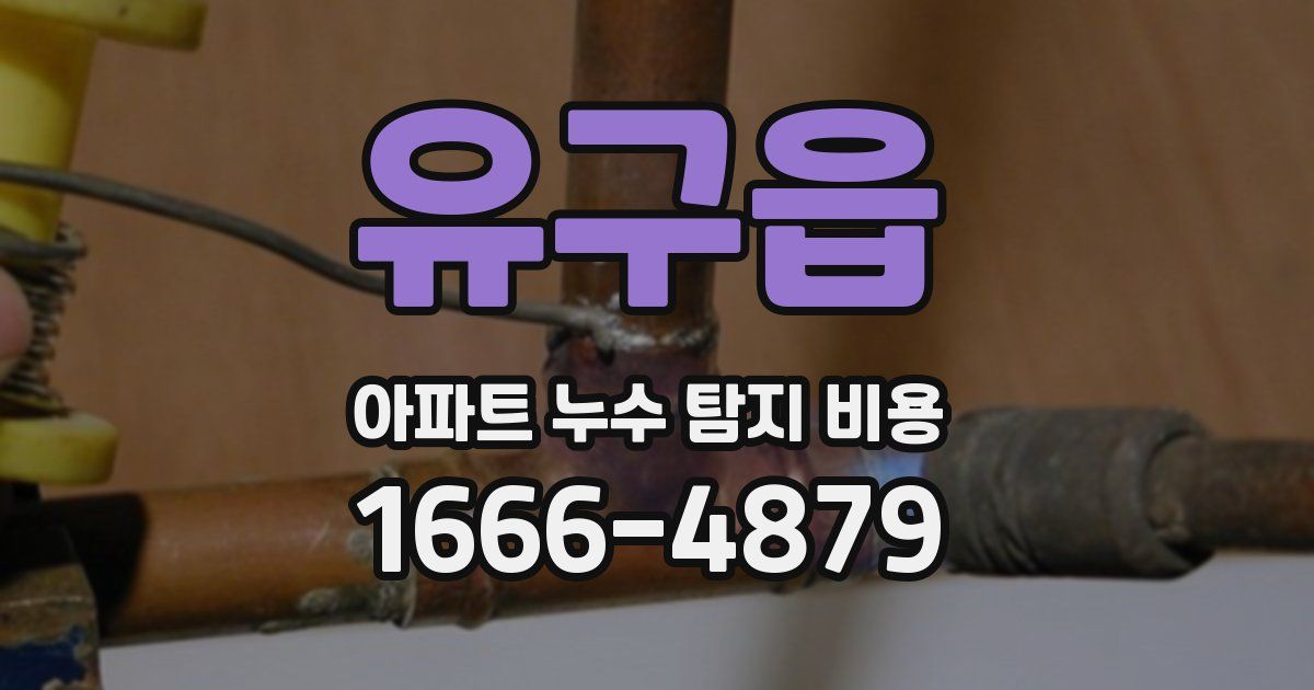 유구읍 아파트 누수 탐지 비용