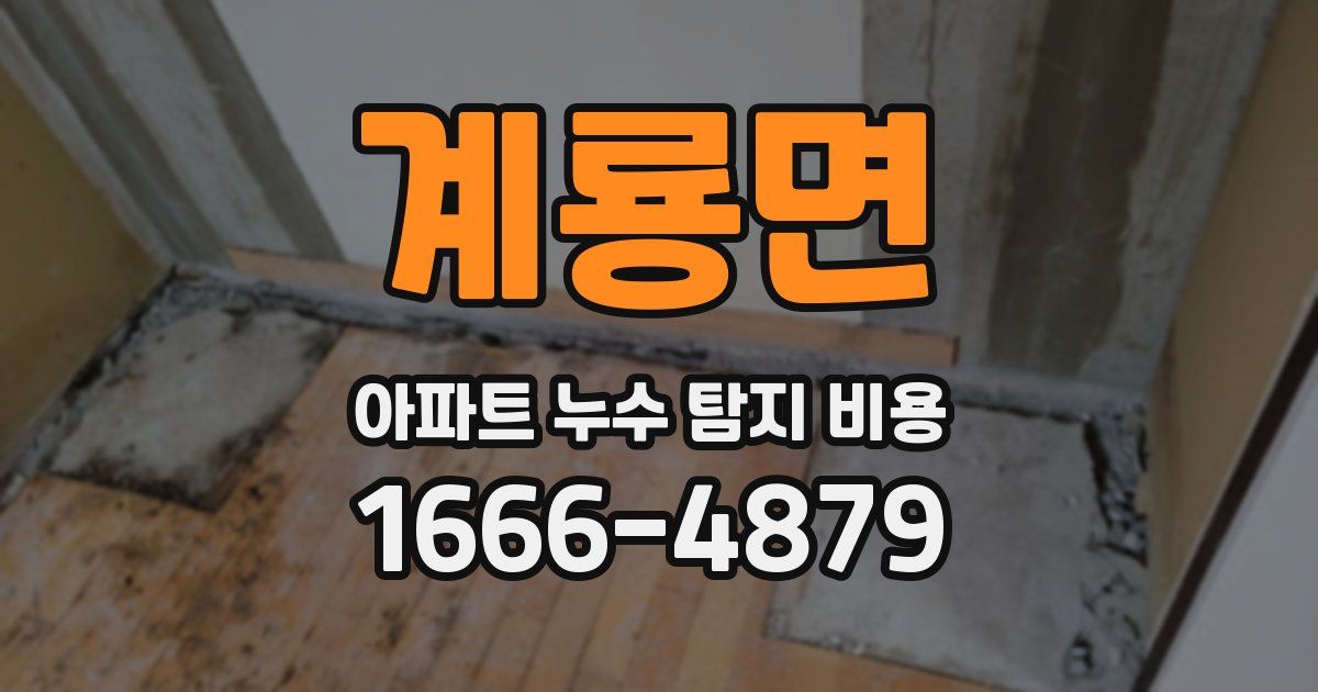 계룡면 아파트 누수 탐지 비용